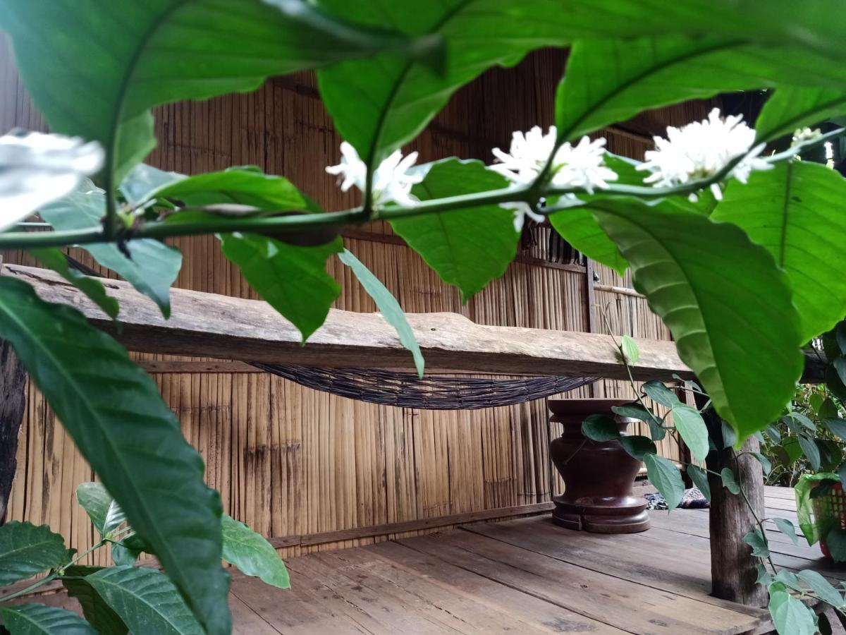 Tribal Village Homestay & Trekking Banlung Exteriör bild
