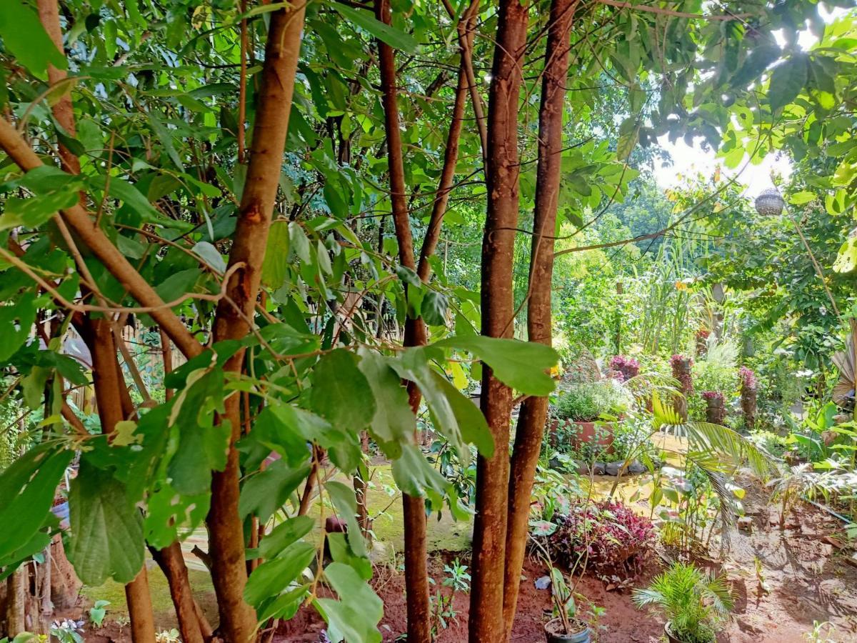 Tribal Village Homestay & Trekking Banlung Exteriör bild