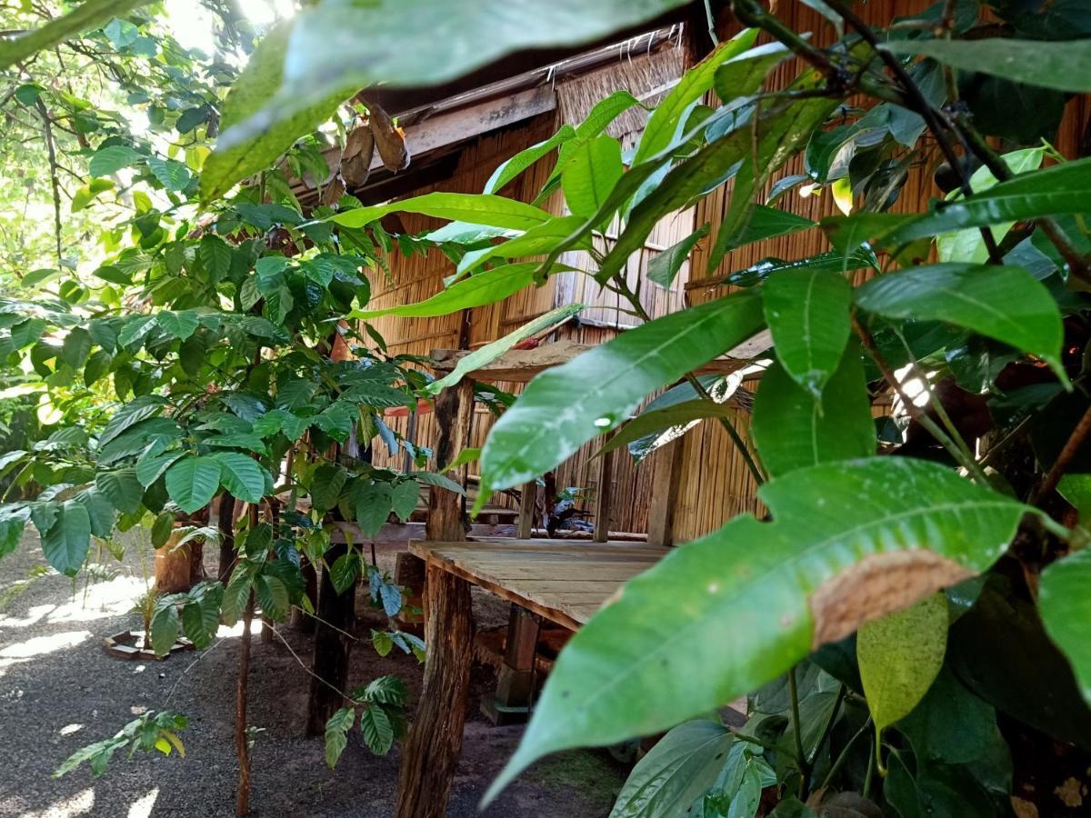 Tribal Village Homestay & Trekking Banlung Exteriör bild