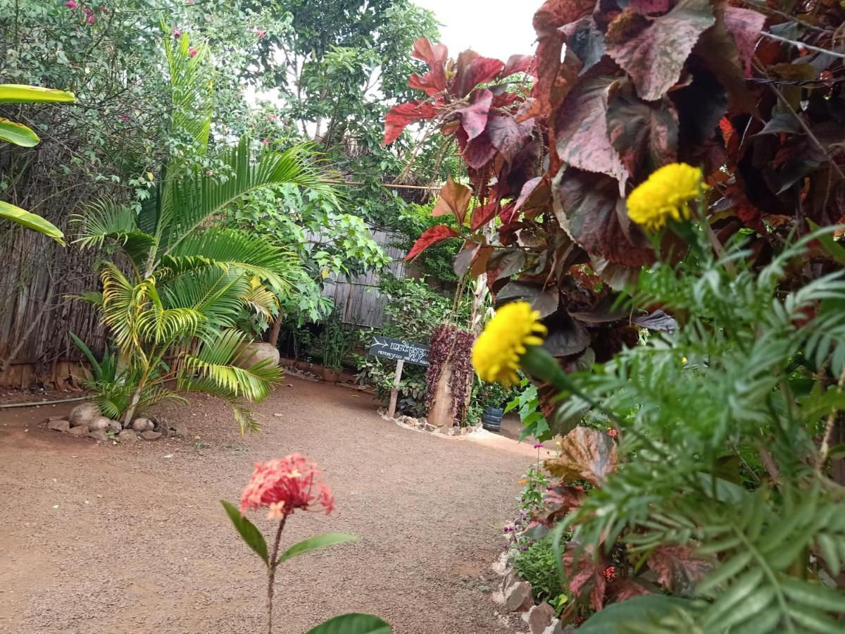Tribal Village Homestay & Trekking Banlung Exteriör bild
