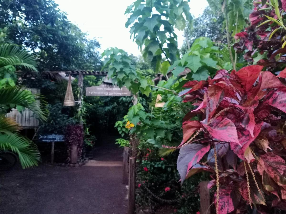 Tribal Village Homestay & Trekking Banlung Exteriör bild