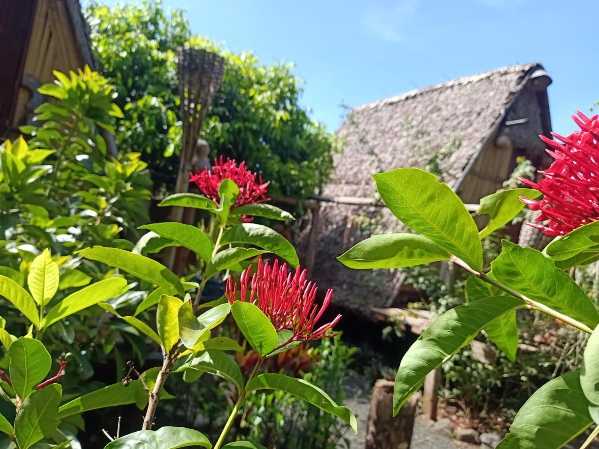 Tribal Village Homestay & Trekking Banlung Exteriör bild