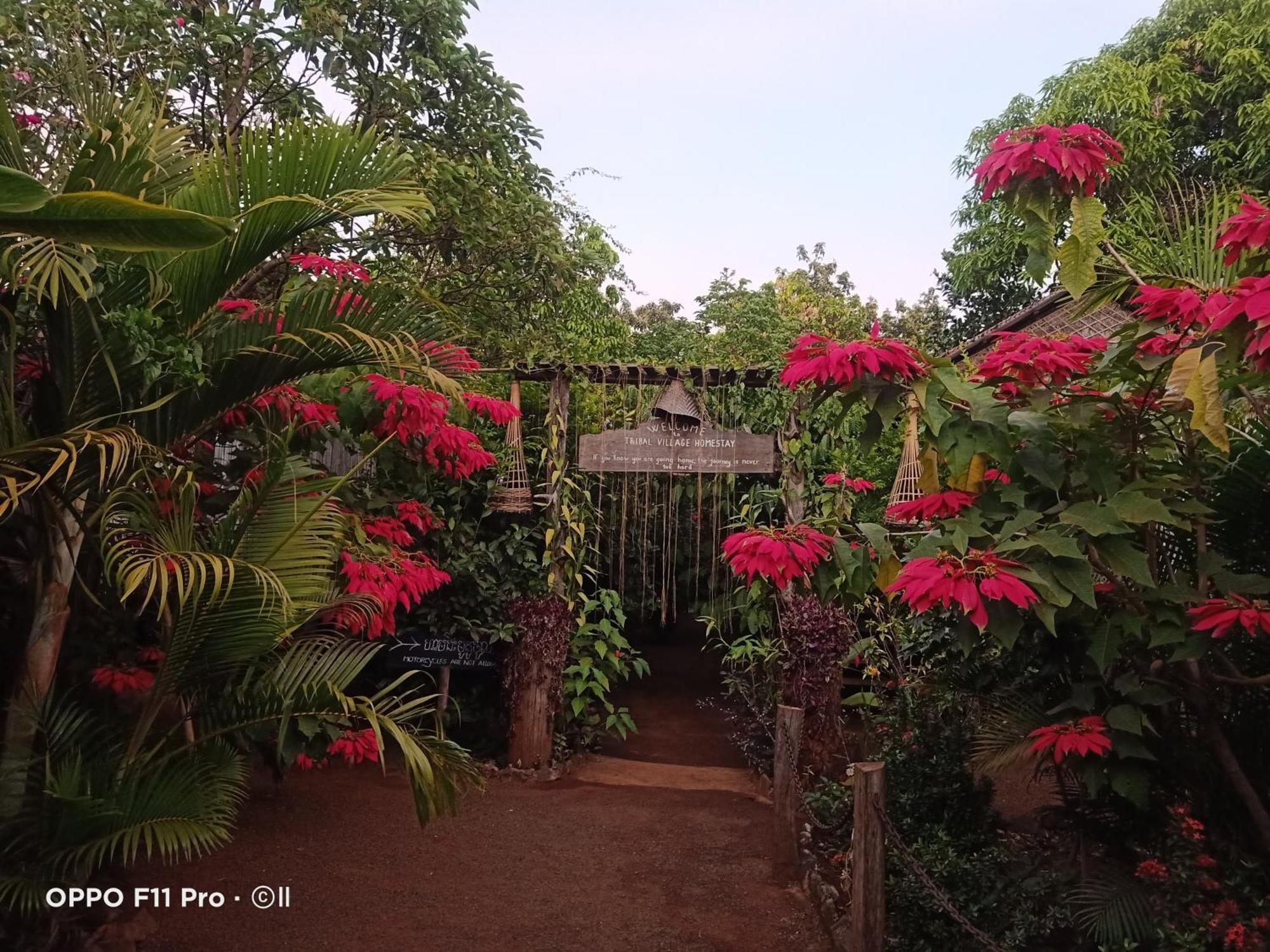 Tribal Village Homestay & Trekking Banlung Rum bild