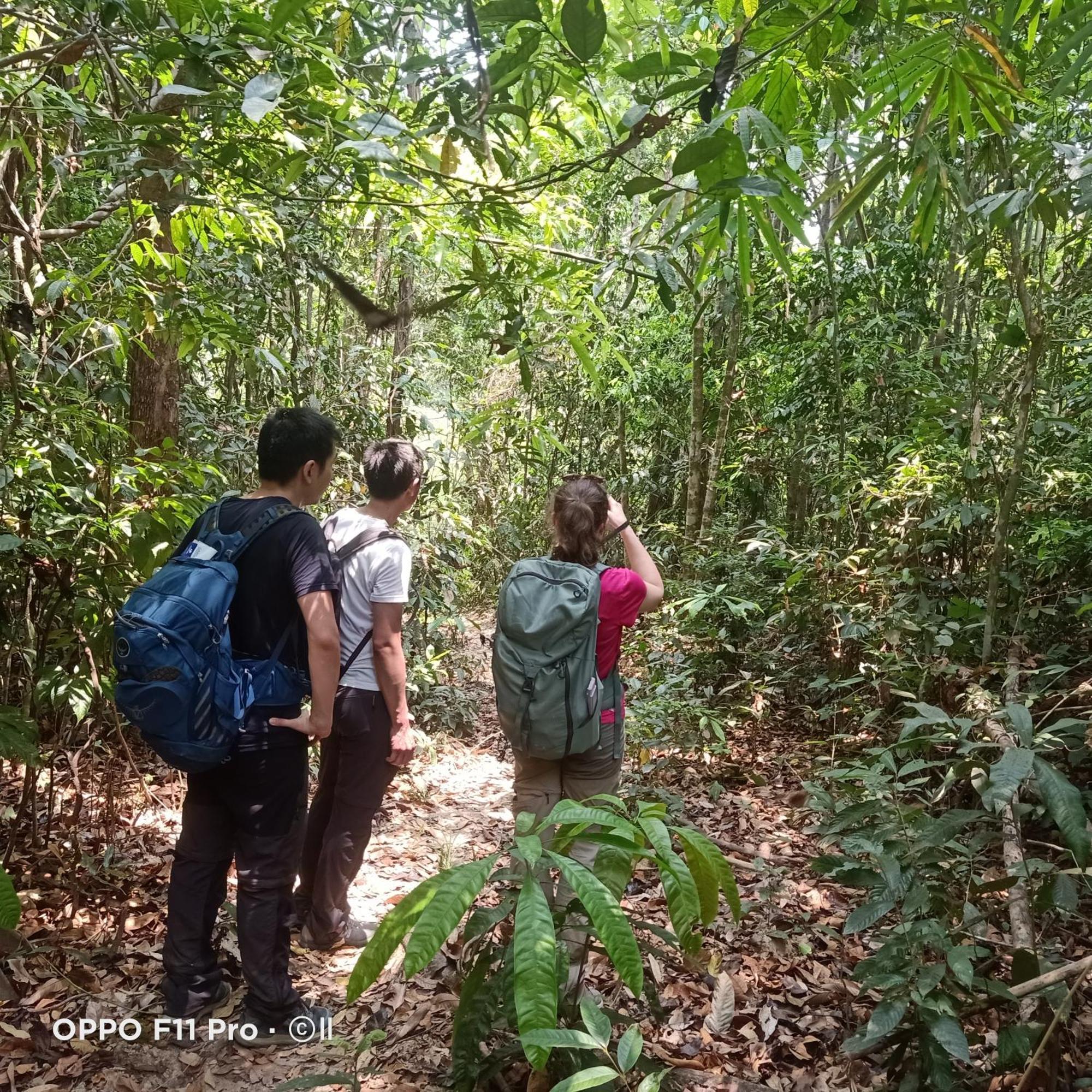Tribal Village Homestay & Trekking Banlung Exteriör bild